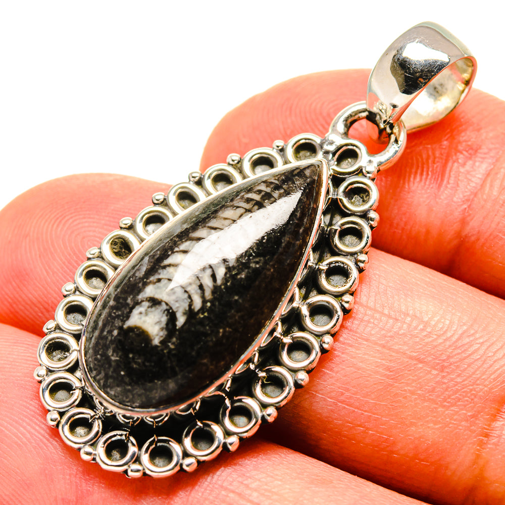 Orthoceras Fossil Pendants handcrafted by Ana Silver Co - PD756584