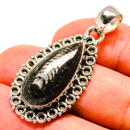 Orthoceras Fossil Pendants handcrafted by Ana Silver Co - PD756584