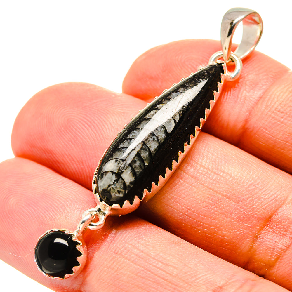Orthoceras Fossil Pendants handcrafted by Ana Silver Co - PD756647