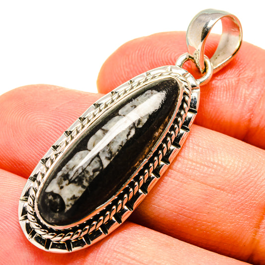 Orthoceras Fossil Pendants handcrafted by Ana Silver Co - PD756754