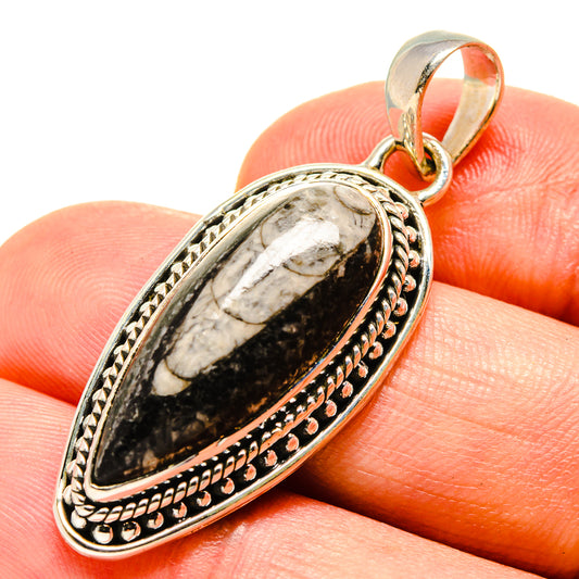 Orthoceras Fossil Pendants handcrafted by Ana Silver Co - PD756755