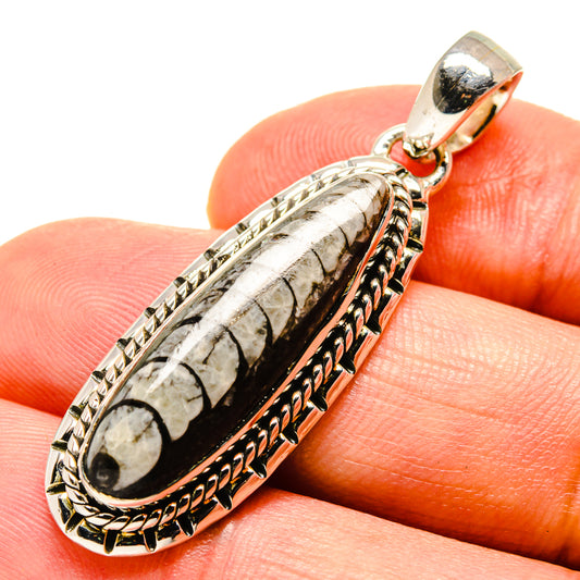 Orthoceras Fossil Pendants handcrafted by Ana Silver Co - PD756756