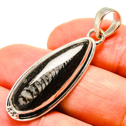 Orthoceras Fossil Pendants handcrafted by Ana Silver Co - PD756786