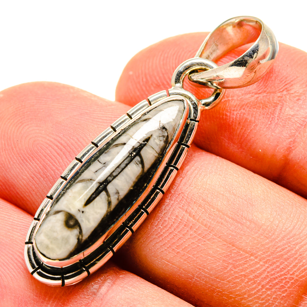 Orthoceras Fossil Pendants handcrafted by Ana Silver Co - PD756835