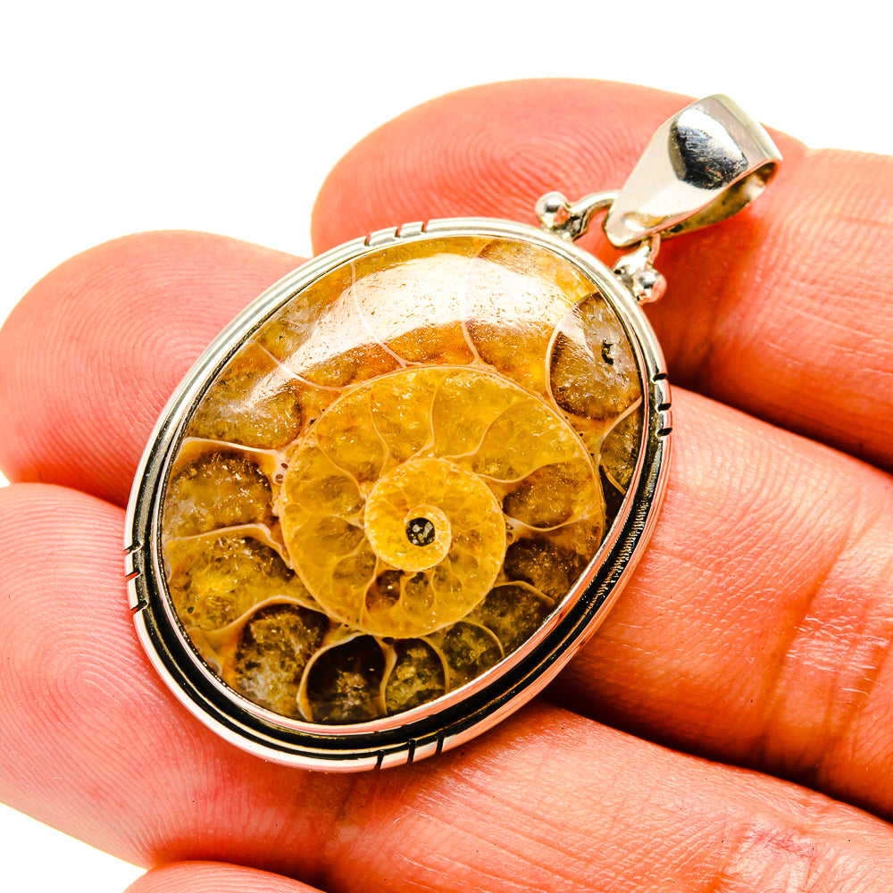Ammonite Fossil Pendants handcrafted by Ana Silver Co - PD757096