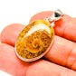 Ammonite Fossil Pendants handcrafted by Ana Silver Co - PD757360