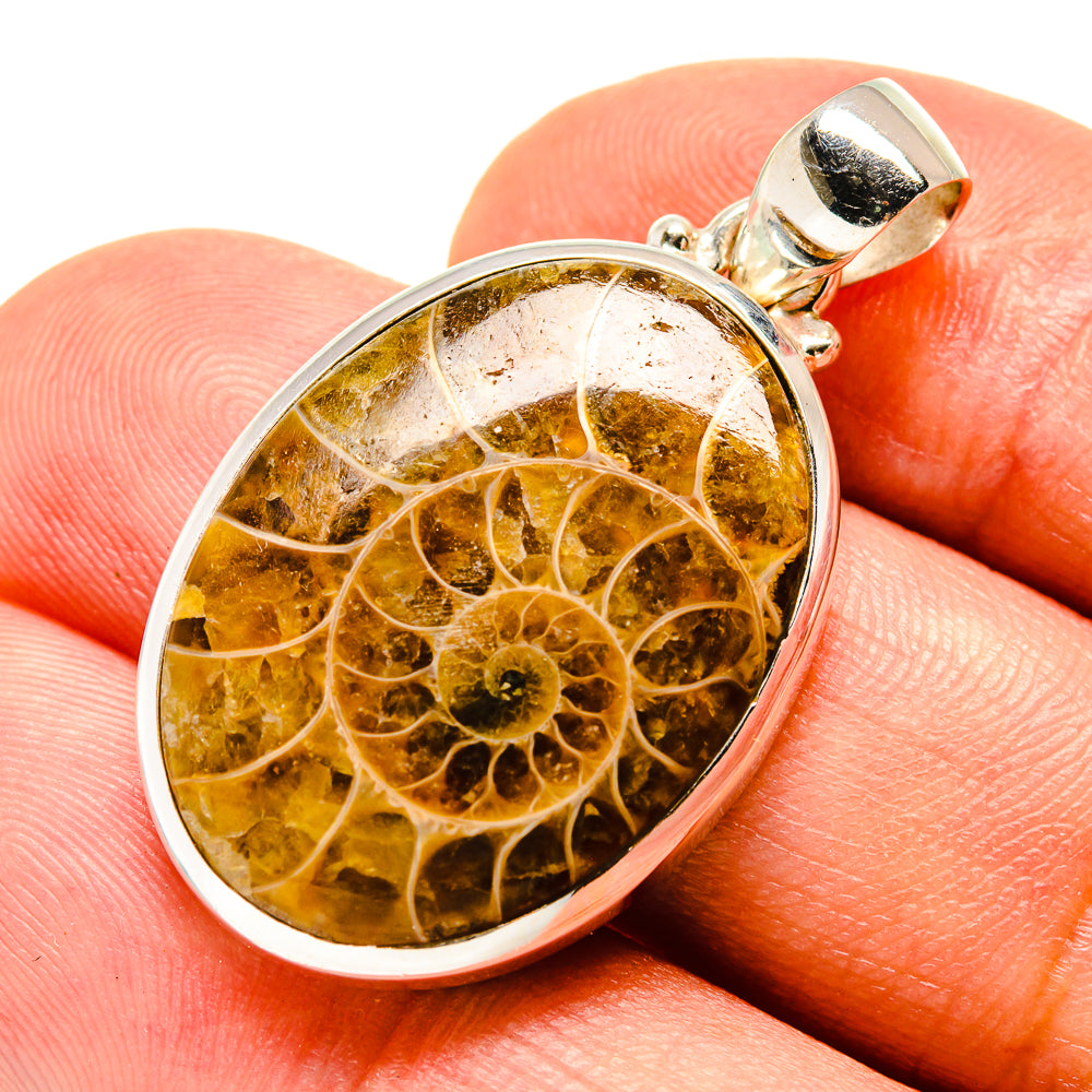 Ammonite fossil pendant, round amber fossil in silver bezel with loop bail