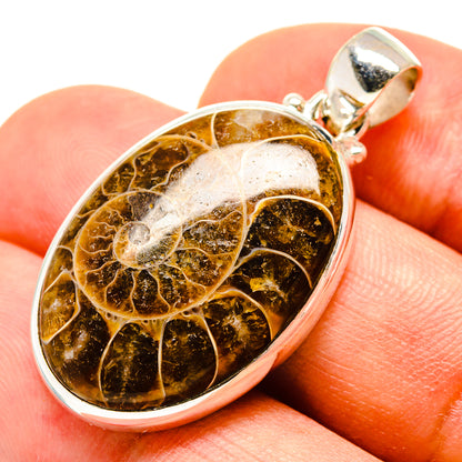 Ammonite fossil pendant with amber, gold, and dark swirls in oval sterling frame