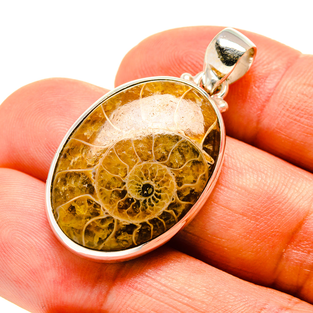 Ammonite Fossil Pendants handcrafted by Ana Silver Co - PD758033