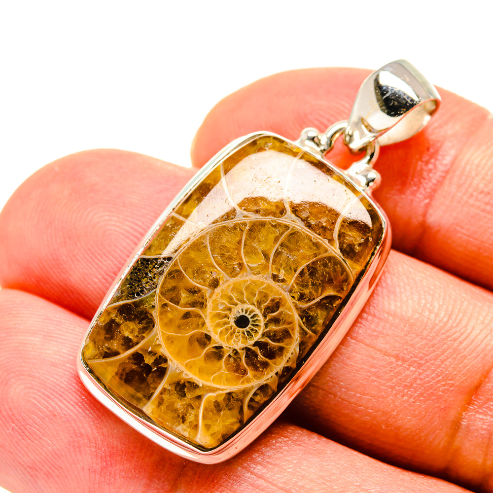 Ammonite fossil pendant in amber-toned stone set in silver bezel with bail
