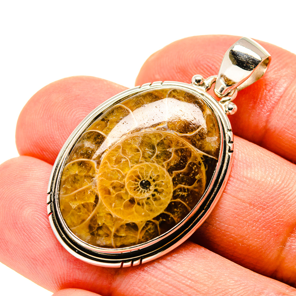 Ammonite Fossil Pendants handcrafted by Ana Silver Co - PD758193