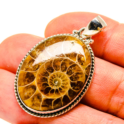 Ammonite fossil pendant in oval silver bezel with amber swirl pattern and bail loop