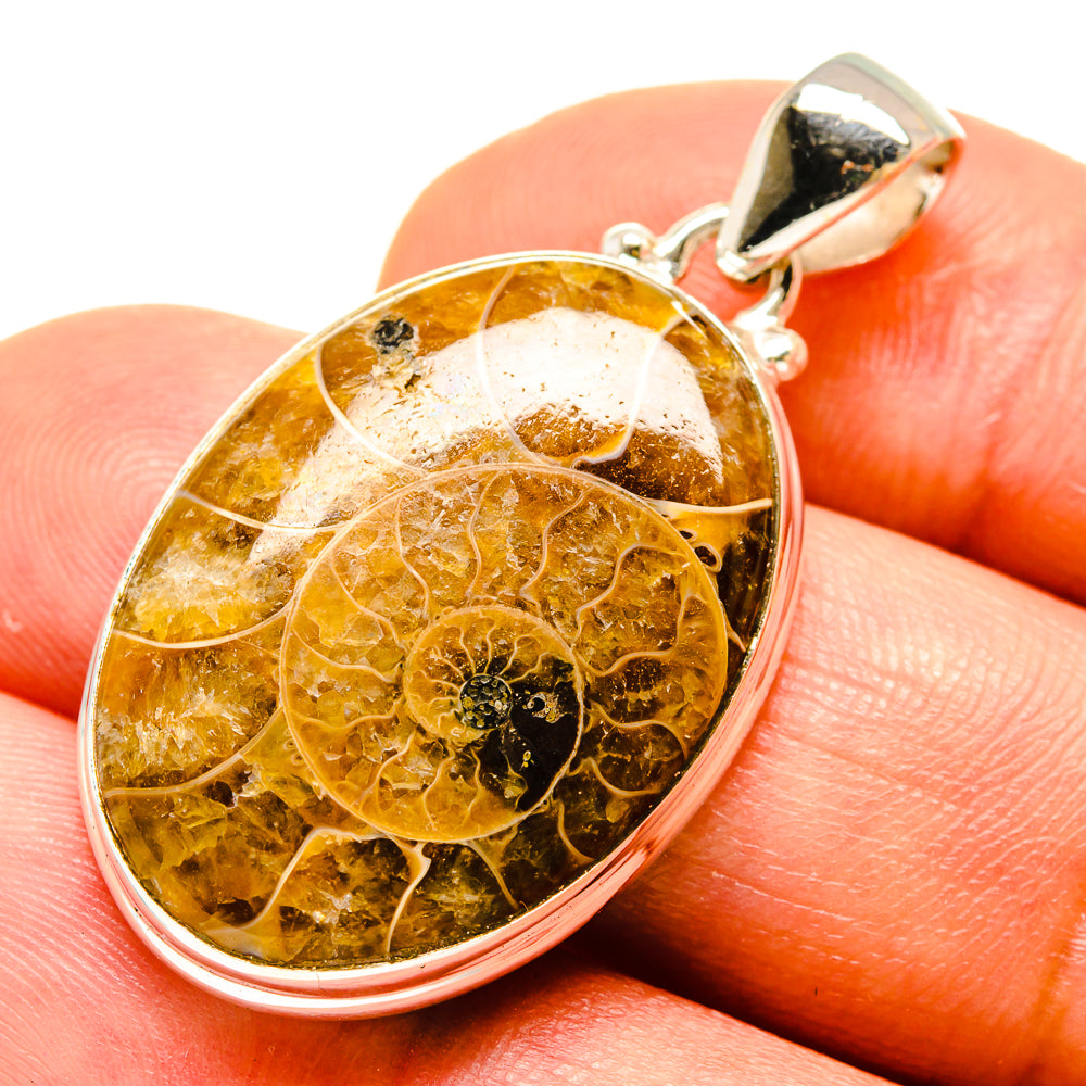 Ammonite fossil pendant, oval amber stone with silver bezel and loop bail