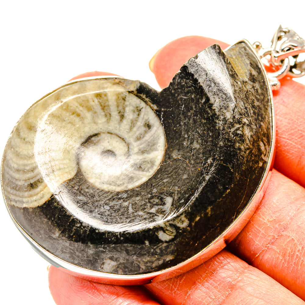 Orthoceras Fossil Pendants handcrafted by Ana Silver Co - PD759255