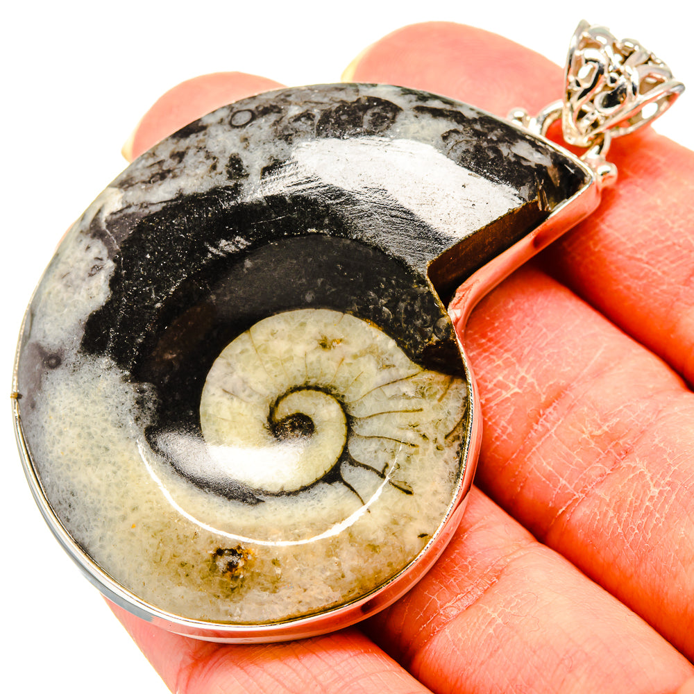 Orthoceras Fossil Pendants handcrafted by Ana Silver Co - PD759257