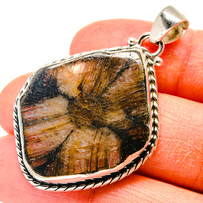 Chiastolite pendant in 925 sterling silver with teardrop gold-and-black stone and loop bail