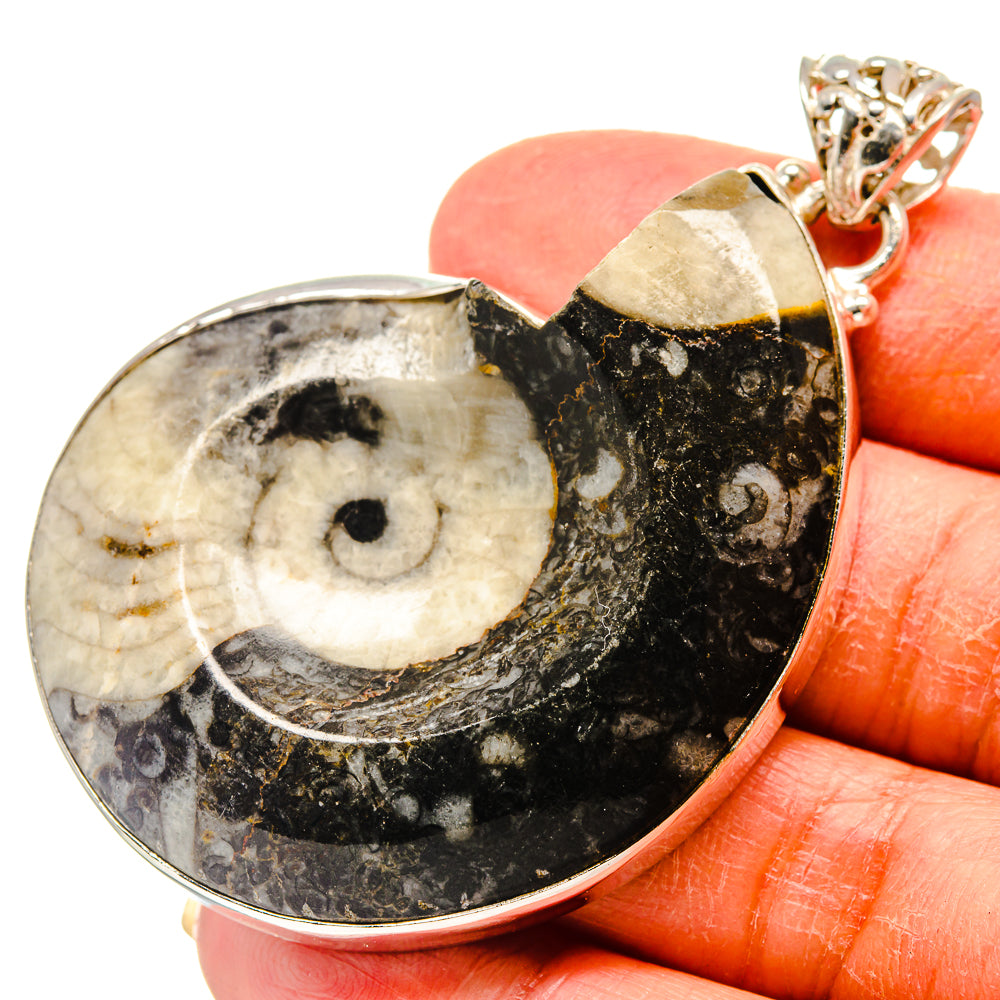 Orthoceras Fossil Pendants handcrafted by Ana Silver Co - PD759345