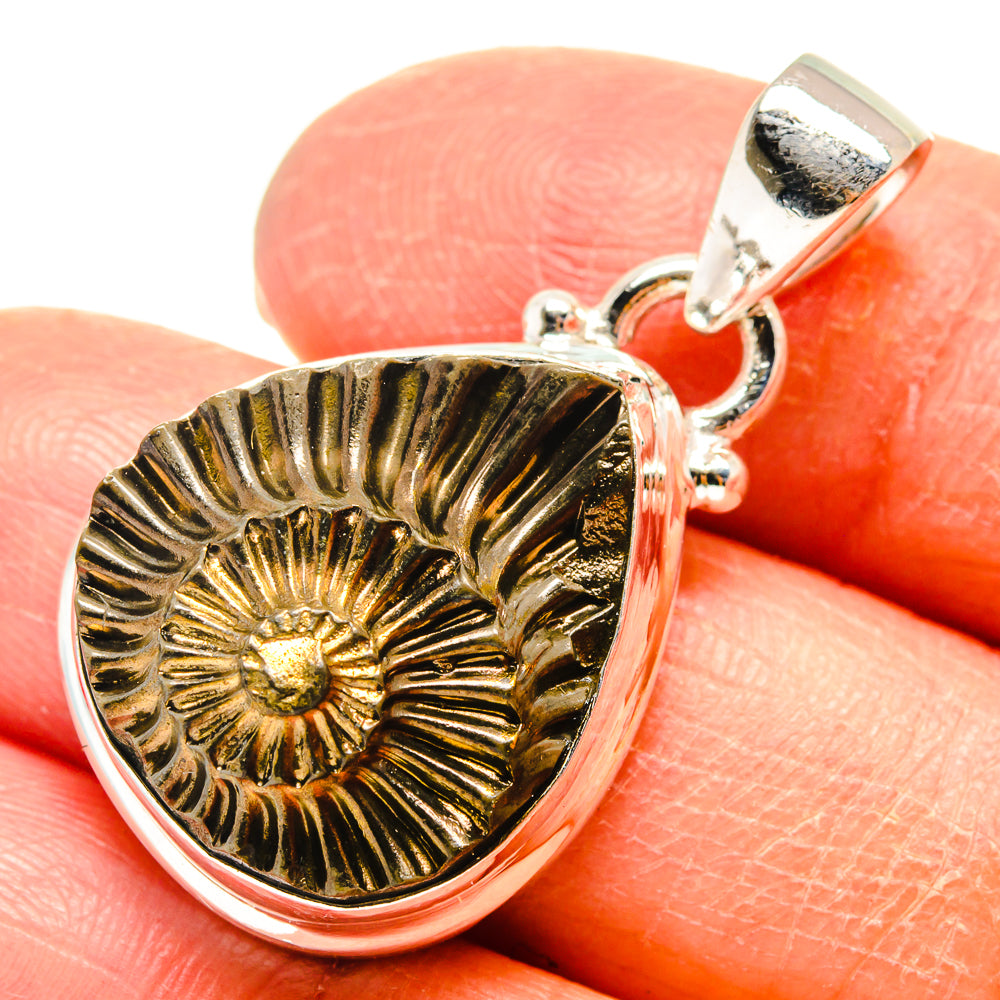 Pyrite fossil pendant in teardrop bezel with sterling silver rim and clasp bail