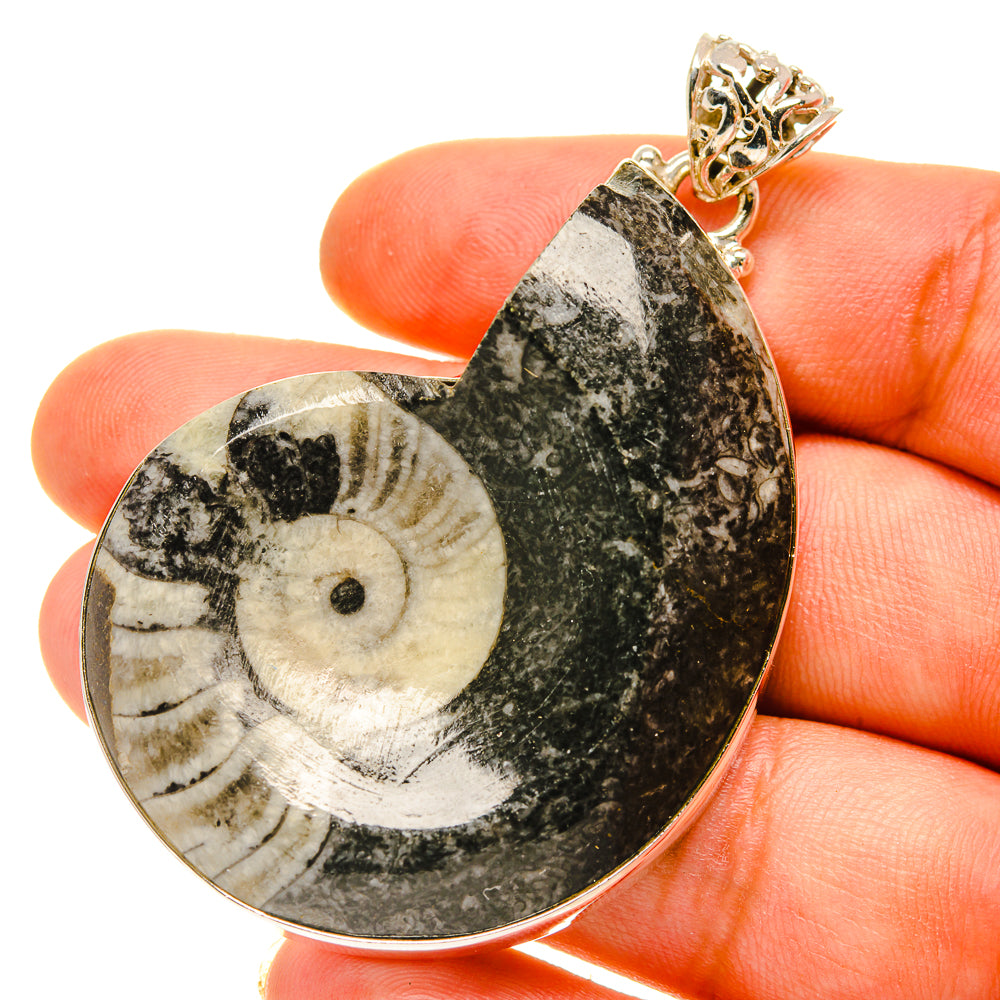 Orthoceras Fossil Pendants handcrafted by Ana Silver Co - PD760016