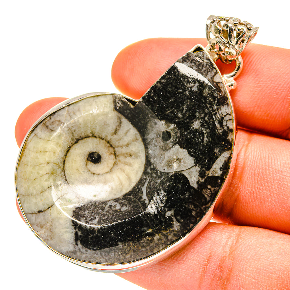 Orthoceras Fossil Pendants handcrafted by Ana Silver Co - PD760148