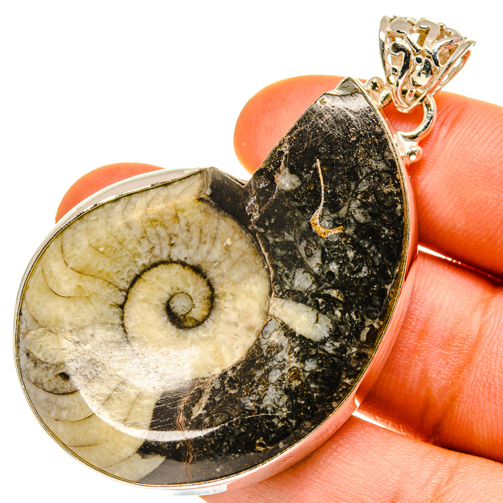 Orthoceras Fossil Pendants handcrafted by Ana Silver Co - PD760275