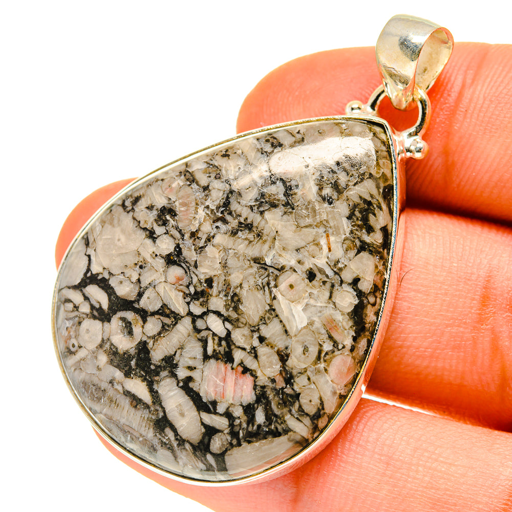 Sterling silver teardrop pendant with crinoid fossil stone cabochon, close view
