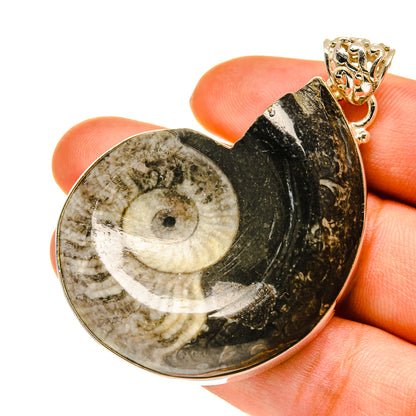 Orthoceras Fossil Pendants handcrafted by Ana Silver Co - PD760536