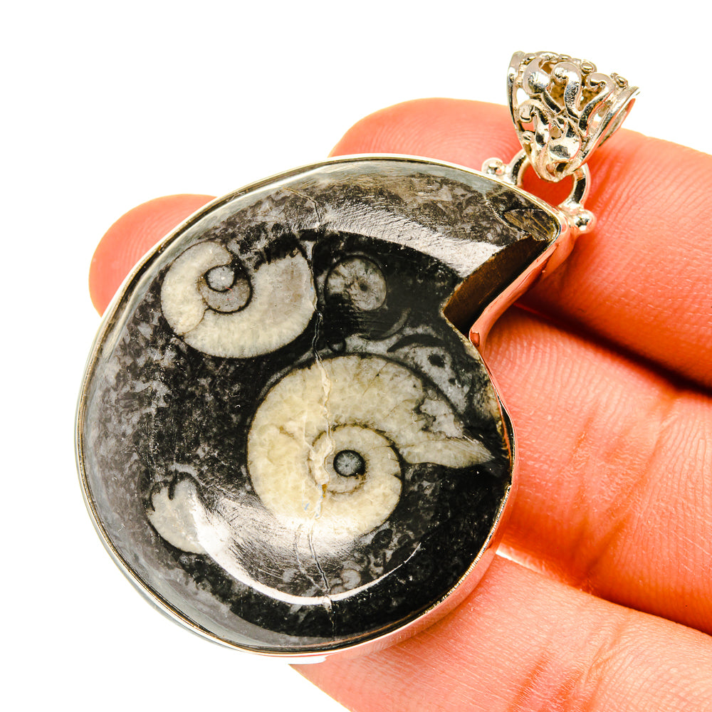 Orthoceras Fossil Pendants handcrafted by Ana Silver Co - PD760657