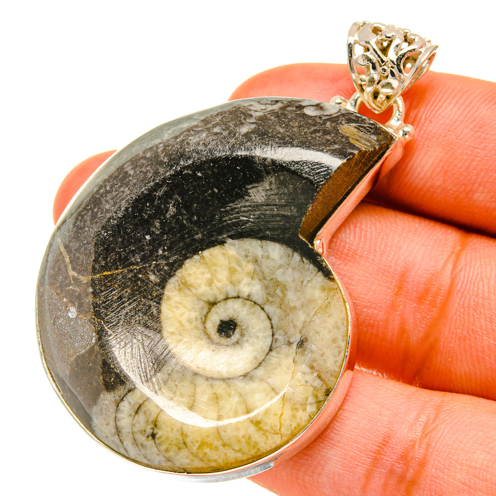 Orthoceras Fossil Pendants handcrafted by Ana Silver Co - PD760795