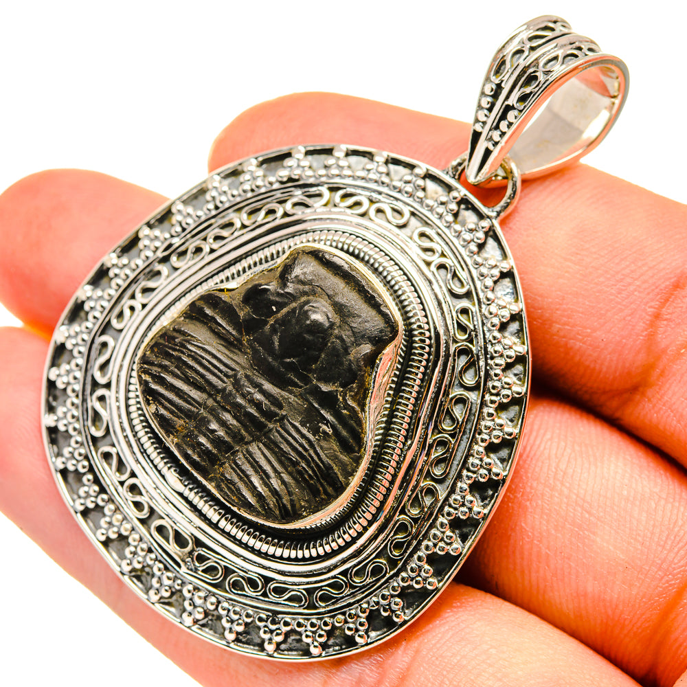 Trilobite Pendants handcrafted by Ana Silver Co - PD8274