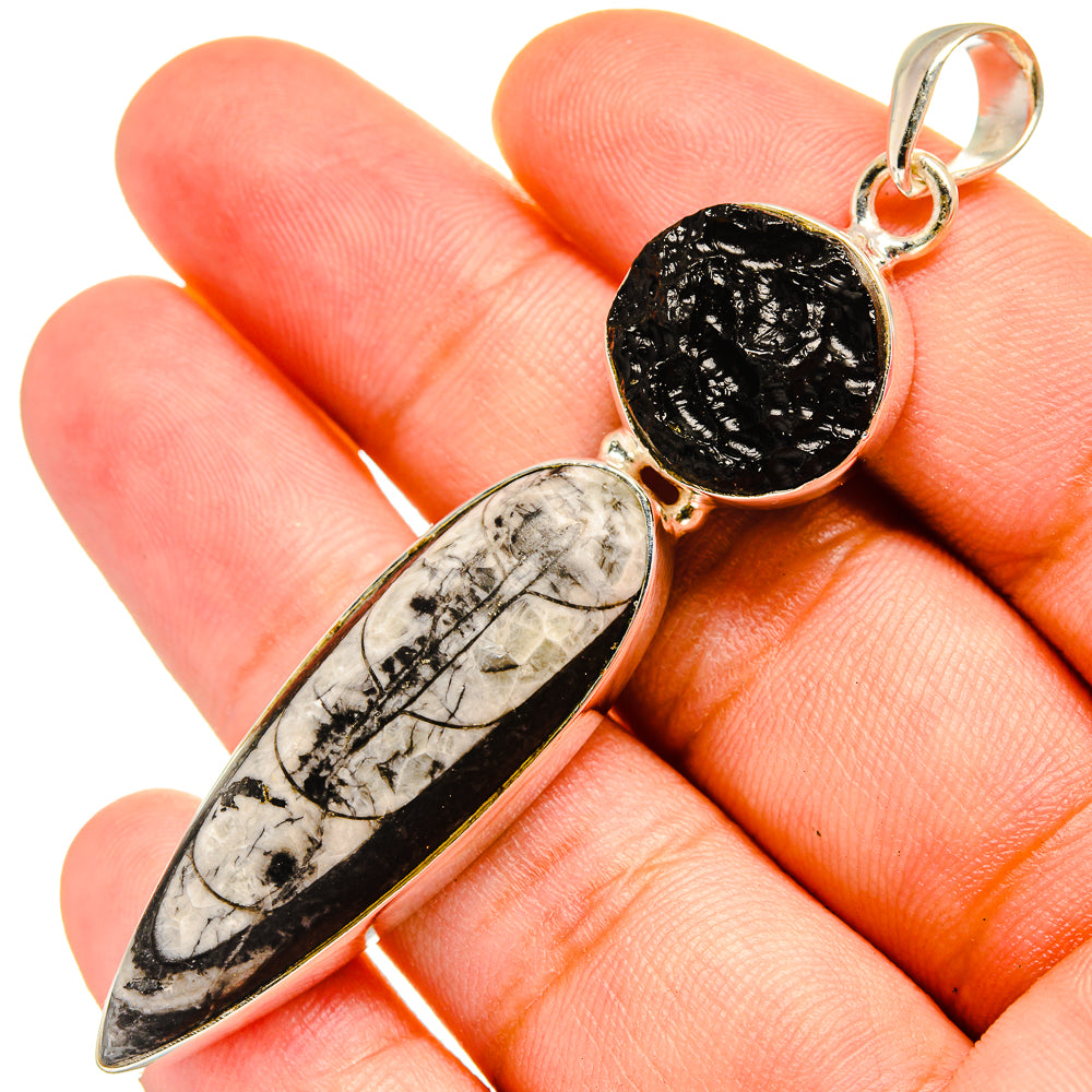 Orthoceras Fossil Pendants handcrafted by Ana Silver Co - PD8525