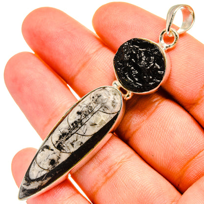 Orthoceras Fossil Pendants handcrafted by Ana Silver Co - PD8525