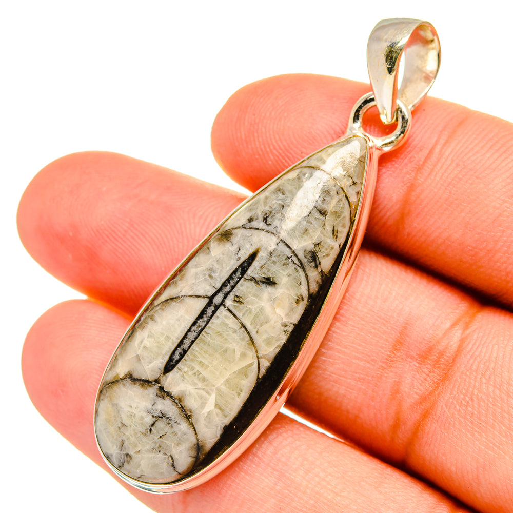 Orthoceras Fossil Pendants handcrafted by Ana Silver Co - PD8722