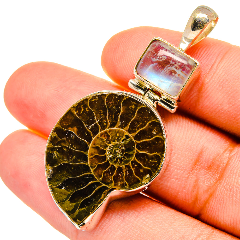 Ammonite Fossil Pendants handcrafted by Ana Silver Co - PD8734