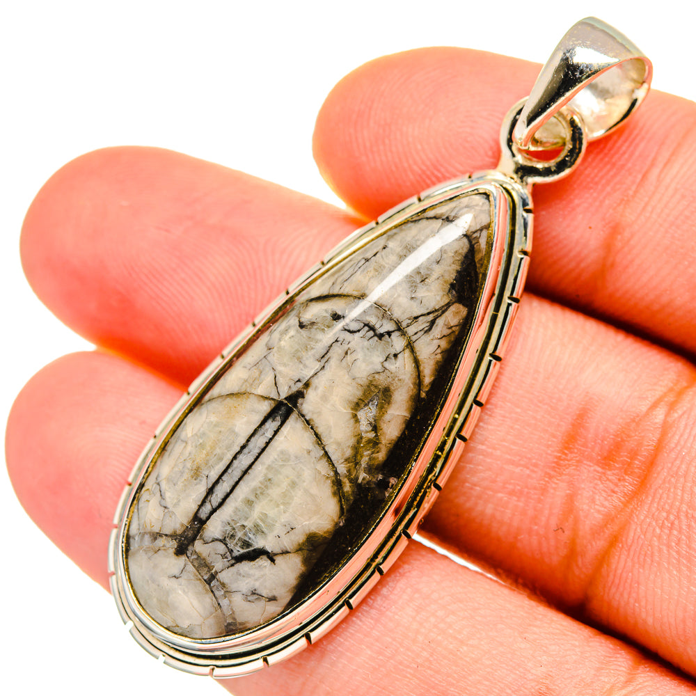 Orthoceras Fossil Pendants handcrafted by Ana Silver Co - PD8737
