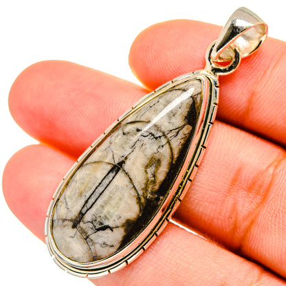 Orthoceras Fossil Pendants handcrafted by Ana Silver Co - PD8737