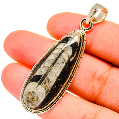 Orthoceras Fossil Pendants handcrafted by Ana Silver Co - PD8759