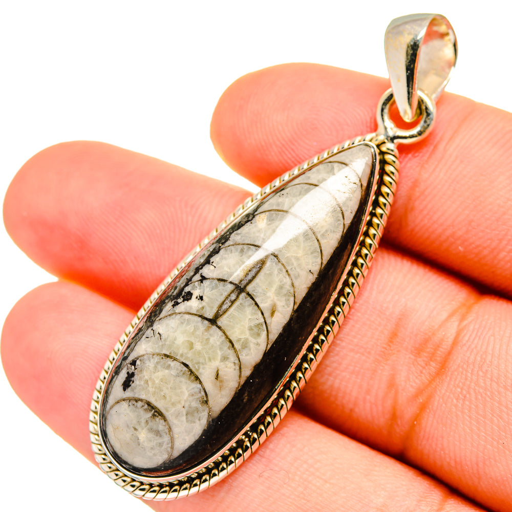 Orthoceras Fossil Pendants handcrafted by Ana Silver Co - PD8760