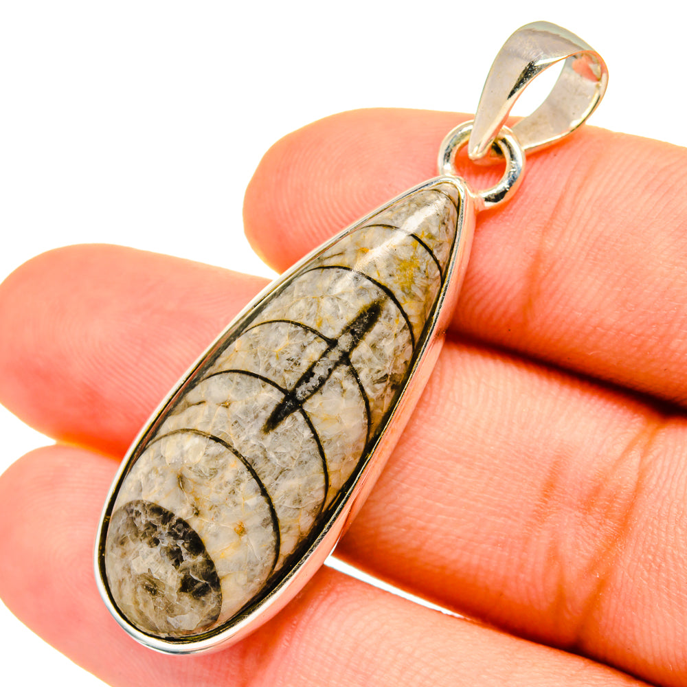 Orthoceras Fossil Pendants handcrafted by Ana Silver Co - PD8804