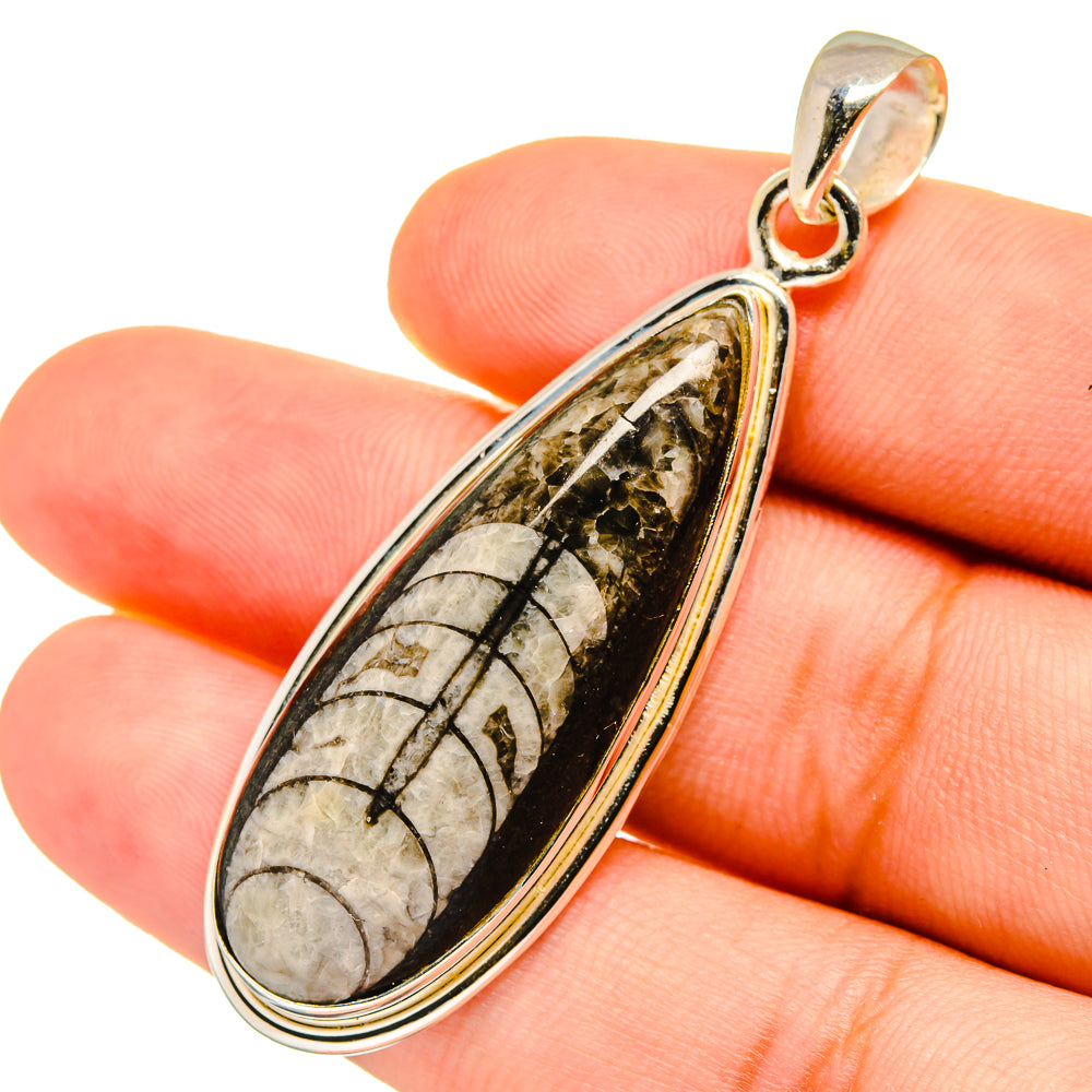 Orthoceras Fossil Pendants handcrafted by Ana Silver Co - PD8805