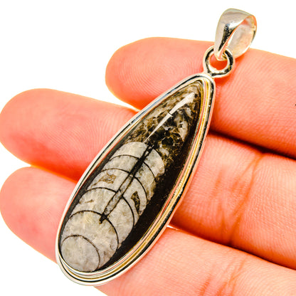Orthoceras Fossil Pendants handcrafted by Ana Silver Co - PD8805