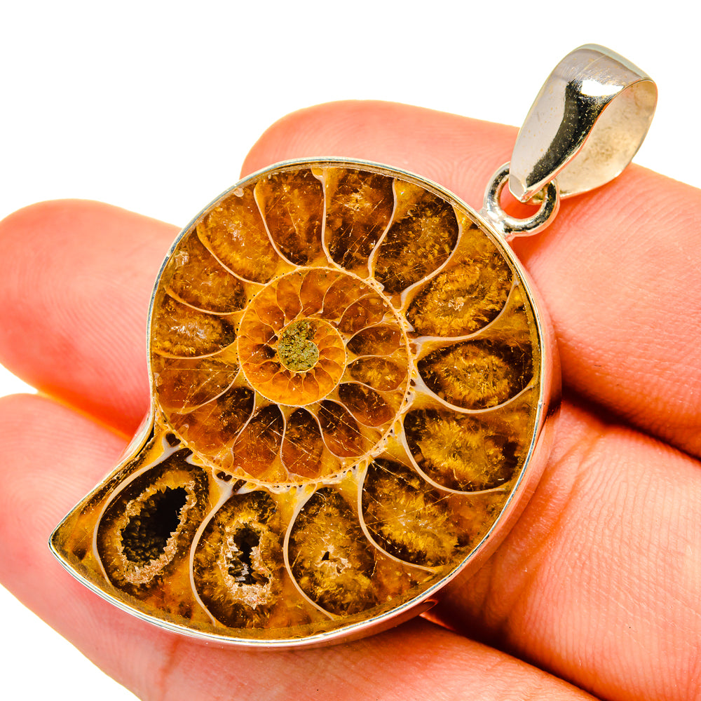 Ammonite fossil pendant in round amber cabochon with gold-tone bail, 925 silver frame