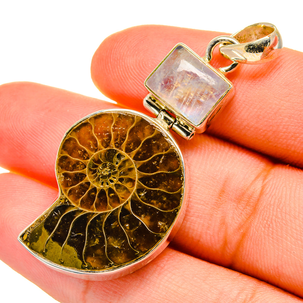 Ammonite Fossil Pendants handcrafted by Ana Silver Co - PD8830