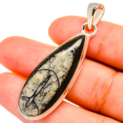 Orthoceras Fossil Pendants handcrafted by Ana Silver Co - PD8935