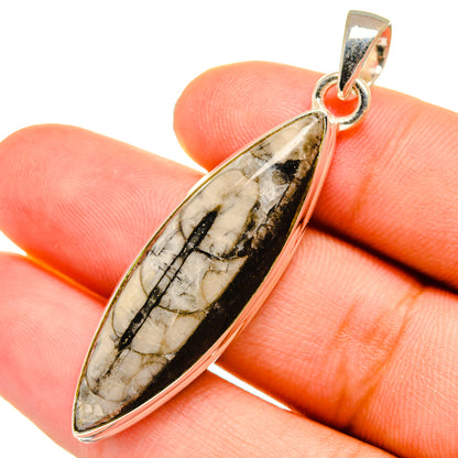 Orthoceras Fossil Pendants handcrafted by Ana Silver Co - PD8936