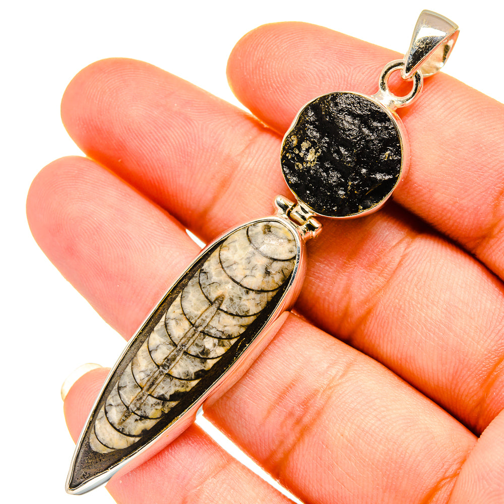 Orthoceras Fossil Pendants handcrafted by Ana Silver Co - PD8937