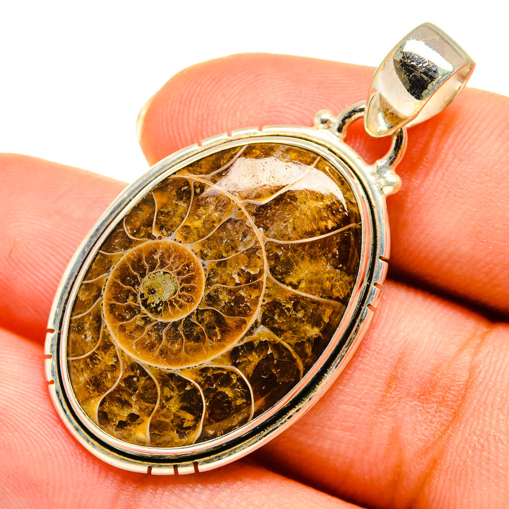 Ammonite Fossil Pendants handcrafted by Ana Silver Co - PD9117