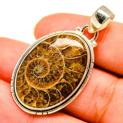 Ammonite Fossil Pendants handcrafted by Ana Silver Co - PD9117