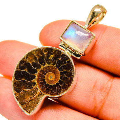 Ammonite Fossil Pendants handcrafted by Ana Silver Co - PD9118