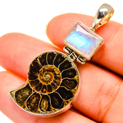 Ammonite fossil pendant with square opalescent moonstone set in gold-tone frame